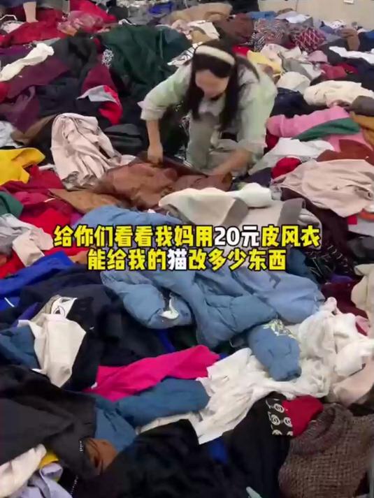 博主晒妈妈给猫咪做的新衣服时尚又贵气网友好像备受宠爱的公主