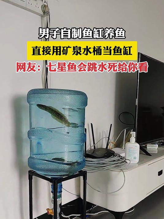 男子自制鱼缸养鱼,直接用矿泉水桶当鱼缸
