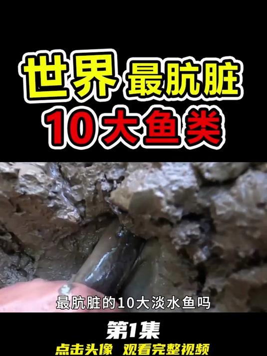 世界上“最肮脏”的10种淡水鱼