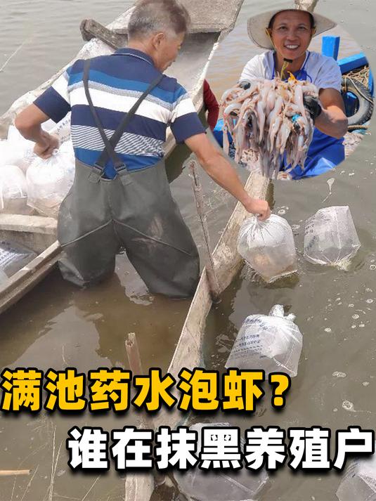 虾池水质糟糕堆满泡沫,养虾户用药水泡虾?这些“爆料”能信吗