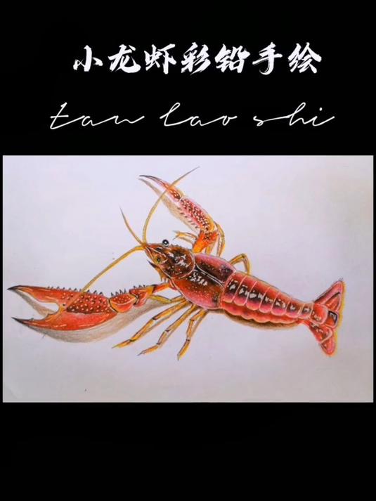 小龙虾彩铅手绘啊