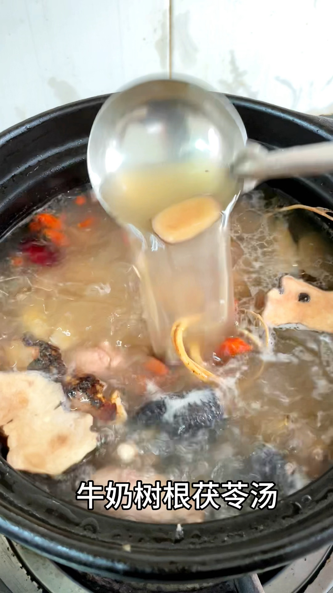 牛奶树根茯苓汤