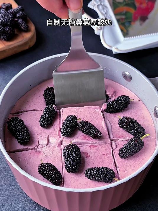 桑葚季必做!无糖厚酸奶的神仙吃法
