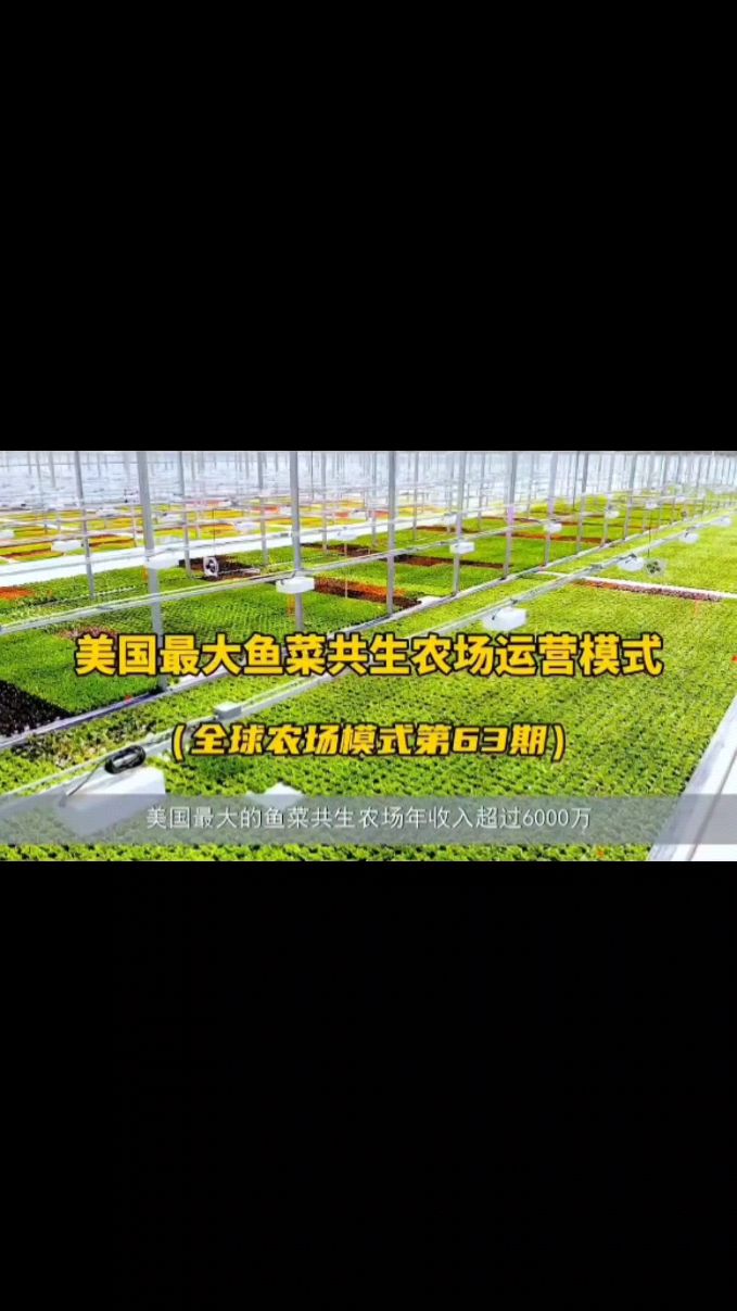 鱼菜共生养殖未来是个风口