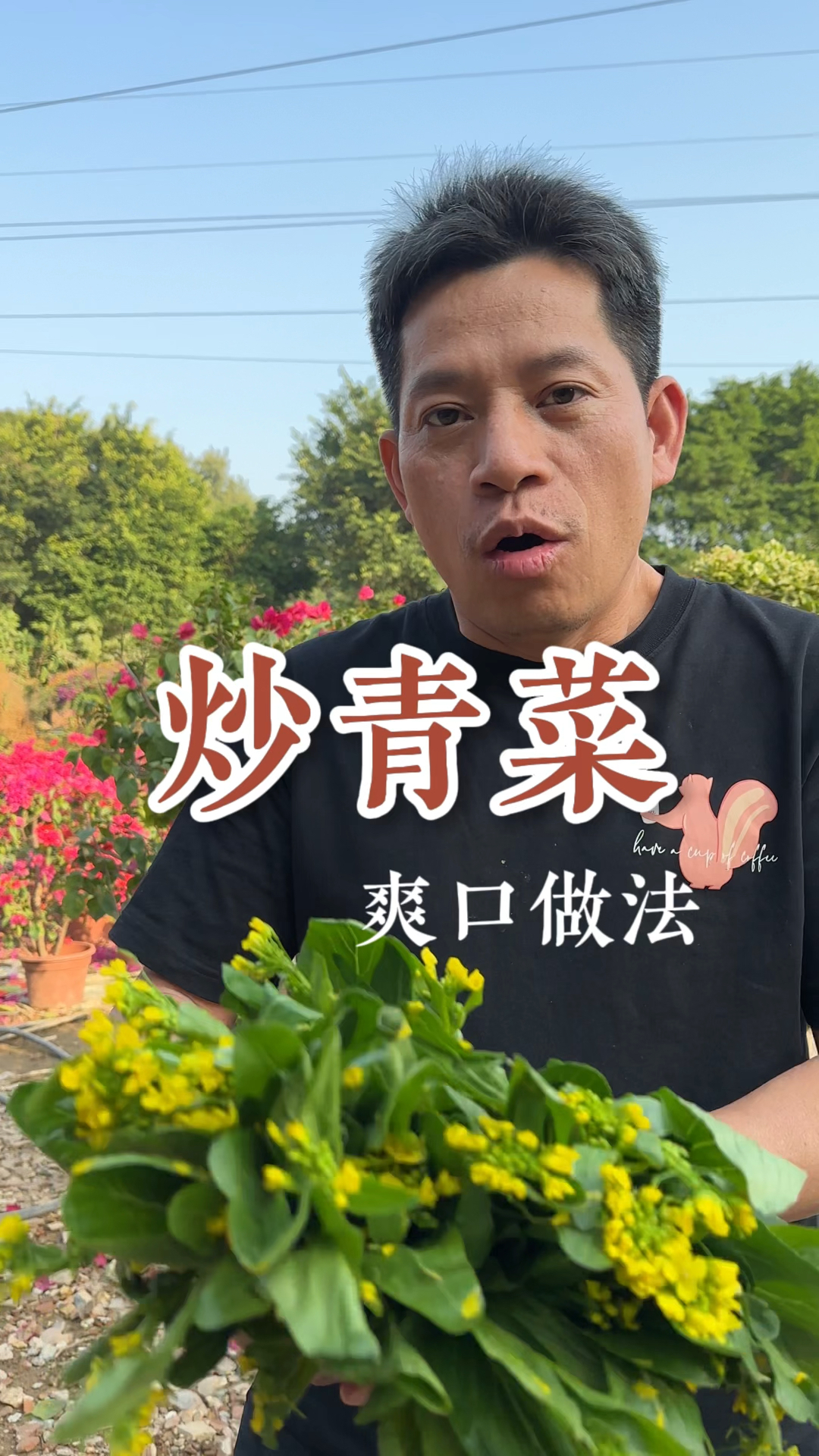 为什么你炒的青菜发黄又不好吃,学会这一招翠绿又爽口#炒青菜 #炒青菜家常做法 #美食