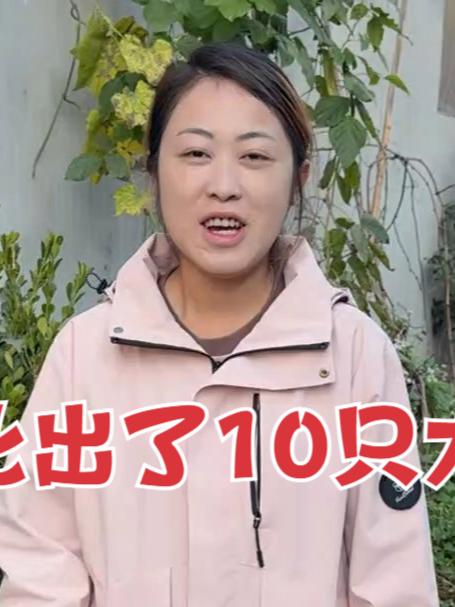 跟大家分享喜悦啦，我媳妇竟成功孵化出10只大鹅，邀请您来见证！