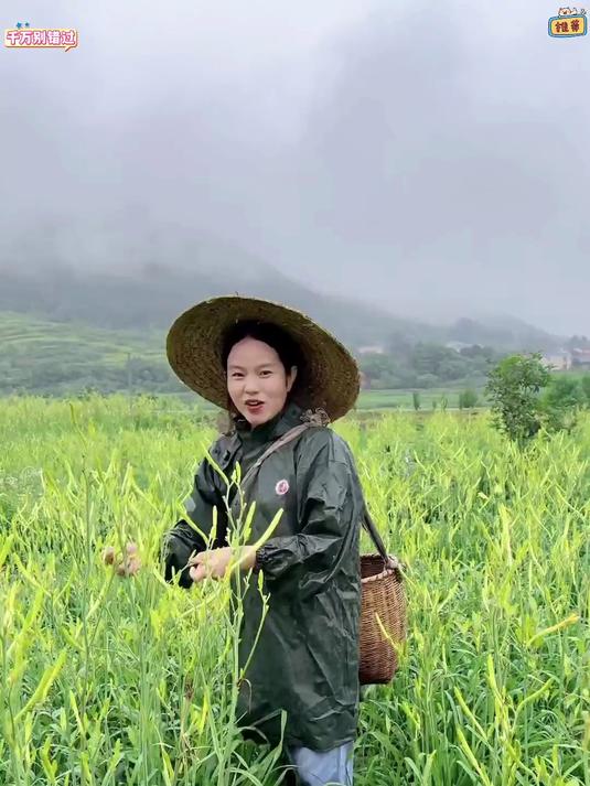 古法蒸黄花菜观看传统工艺 黄花菜