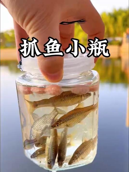 抓小鱼神器儿童新款抓鱼工具倒须瓶抓鱼瓶池塘小溪捕鱼捞小鱼神器