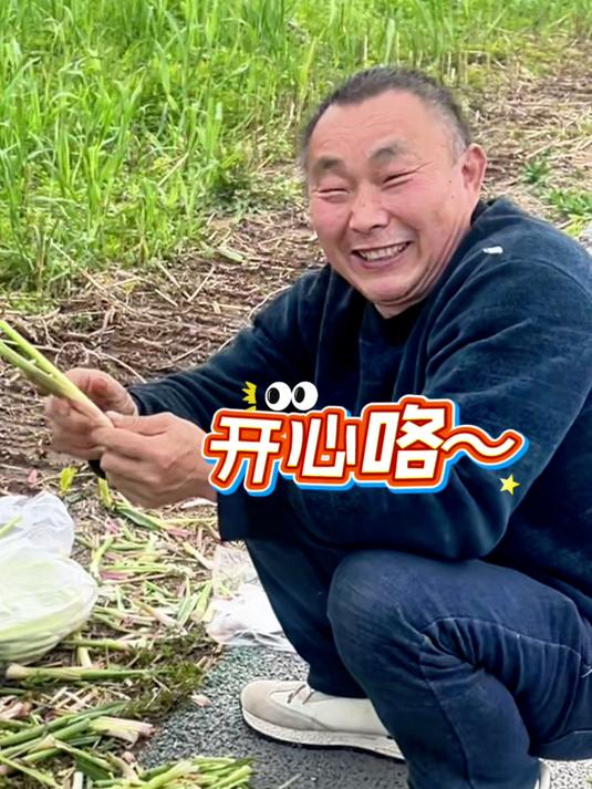 岳阳人的春天从挖野菜开始,今天君山这里,遍地都是“大馋丫头小子”!#本地新闻##岳阳##摘