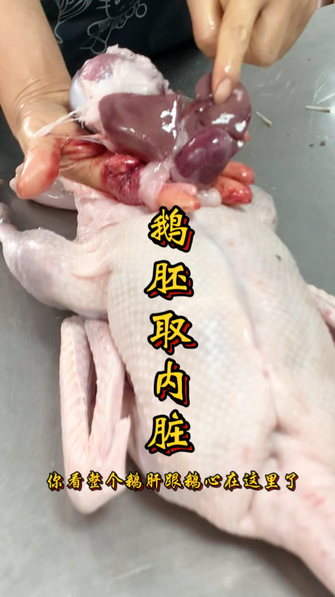 新鲜鹅胚开肚取内脏有技巧.新年将至.在家做美食学起来