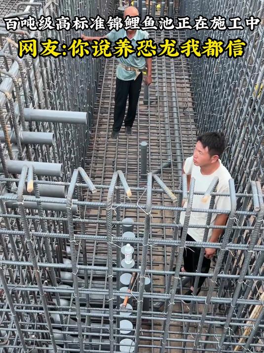 百吨级高标准锦鲤鱼池正在施工中，网友：你说养恐龙我都信