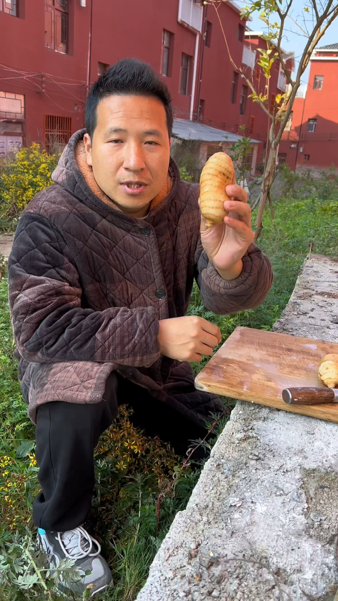 天麻是炖汤很好的辅助食材!你有拿鲜天麻去煲汤吗? #天麻
