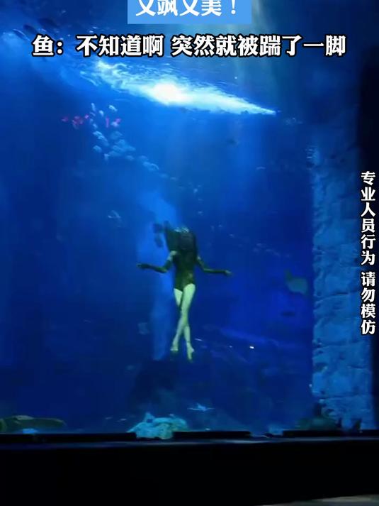 太帅了!被广州的青白蛇美人鱼硬控,鱼不知道啊突然就被踹了