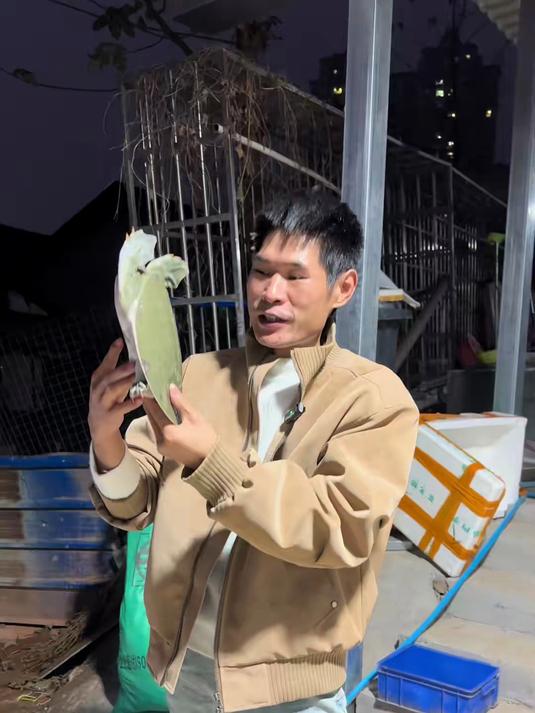 兄弟选甲鱼就要这种,经济实惠!