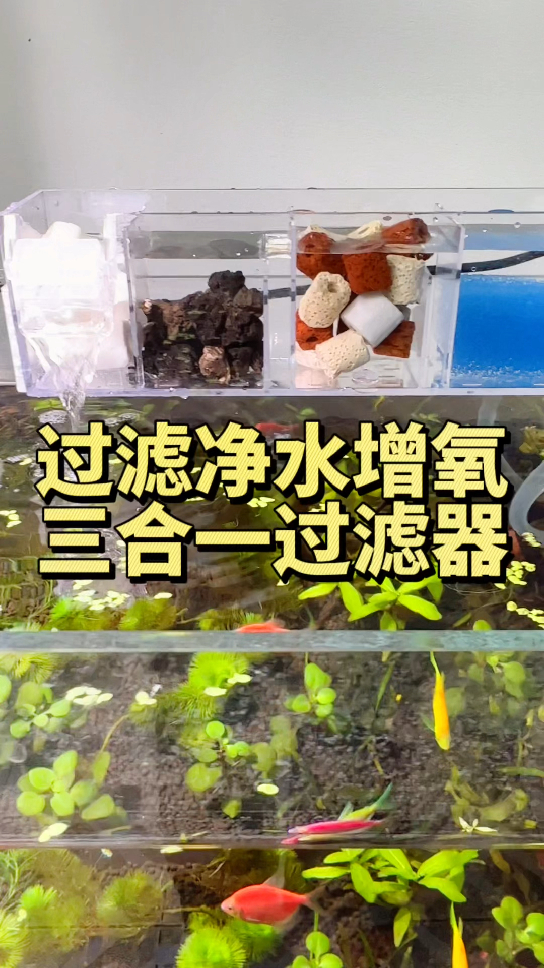 为小鱼缸量身定制的过滤净水增氧三合一过滤器。#水族#过滤器 #养鱼日记