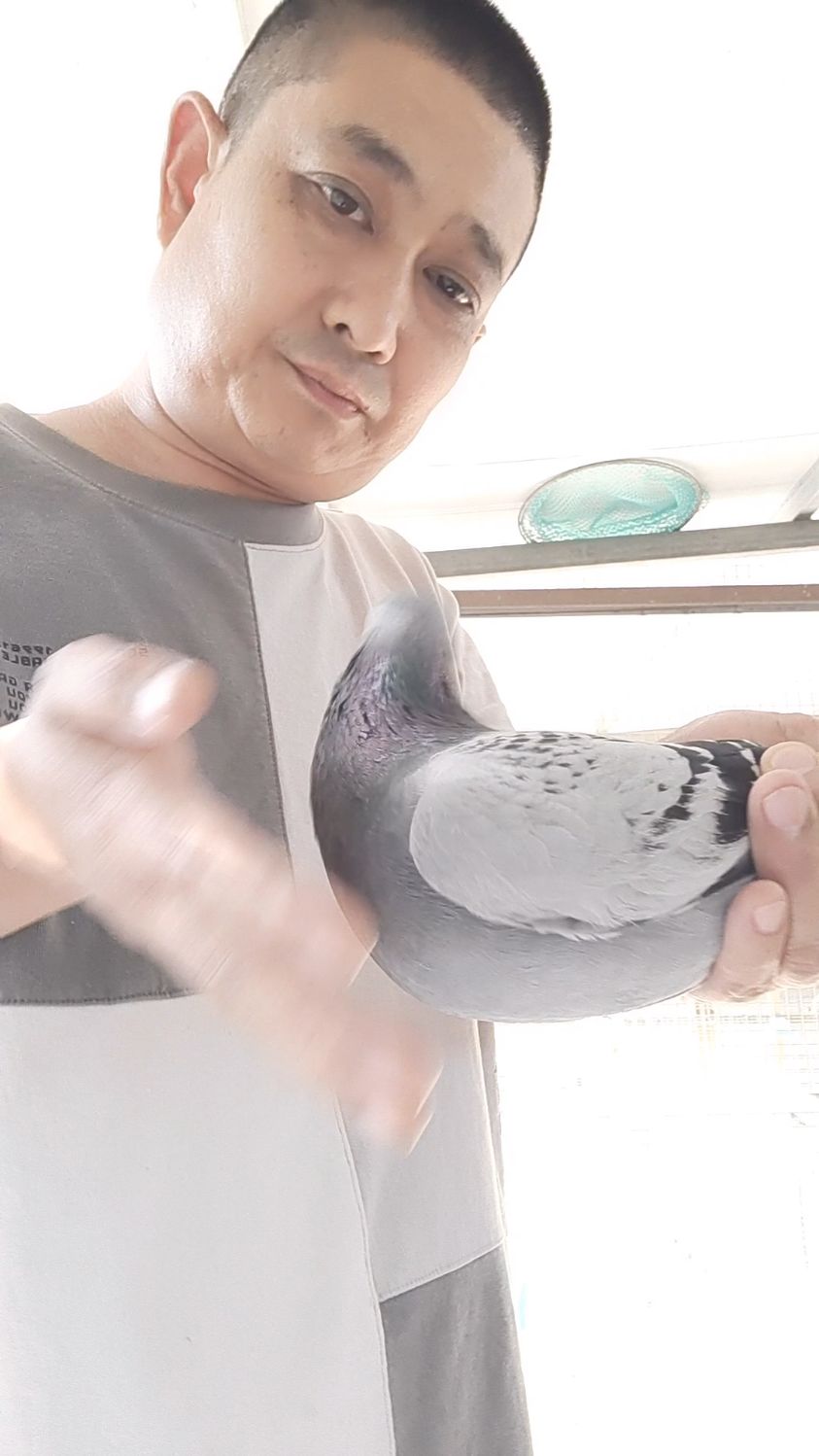 斯美特-吕东辉参赛唐山开尔公棚春棚