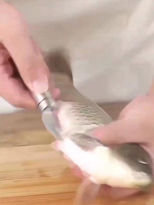 不锈钢翻肠刀家禽破肠子刀鸡鸭鹅猪通肠刀开肠神器杀鱼刀
