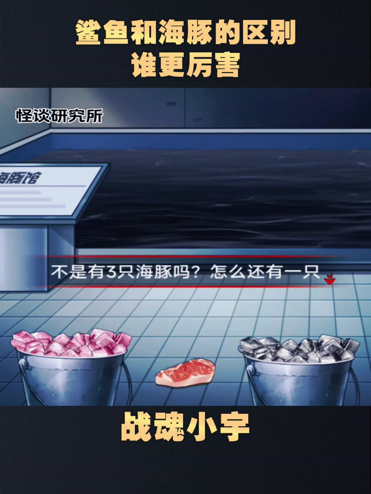 鲨鱼和海豚的区别,谁更厉害