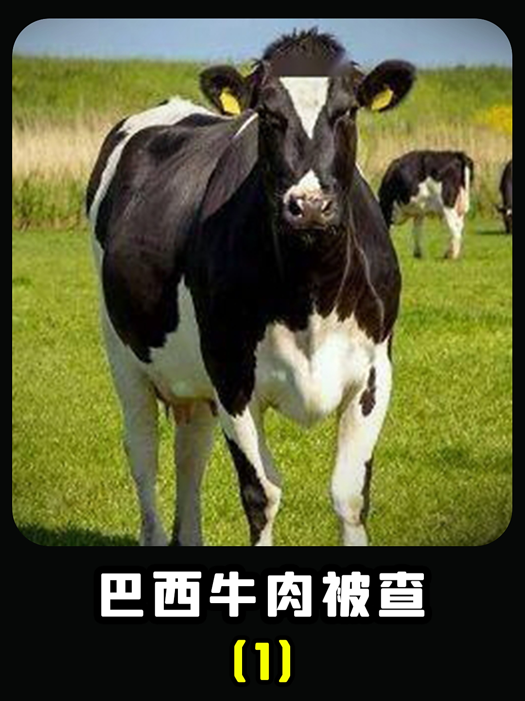 巴西牛肉被查,中方正式出手,本土牛肉亏损,比亚迪被无辜牵连?