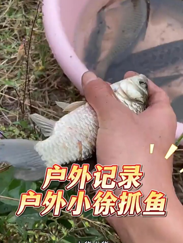 好聪明的一条鱼!
