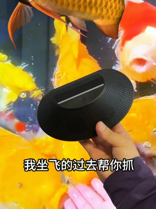 终于不用再跟老鼠同居了!家里有老鼠的就用这个超声波驱鼠神器