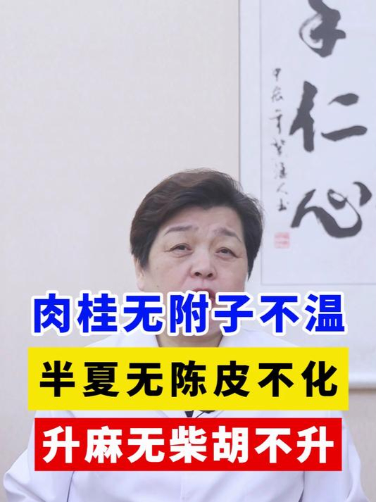 肉桂无附子不温,半夏无陈皮不化,升麻无柴胡不升!