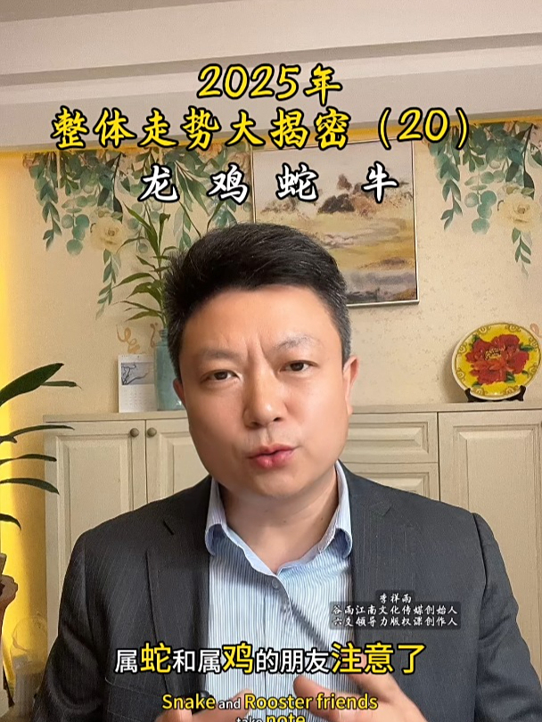 2025年整体走势大揭密(20),龙鸡蛇牛