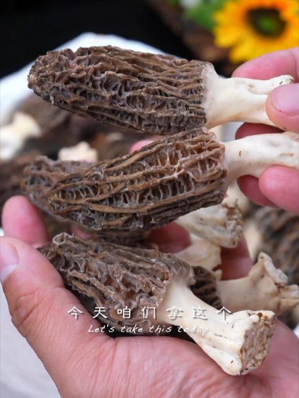 不枉费这么新鲜的羊肚菌,一定要试试这个做法,鲜美又营养!