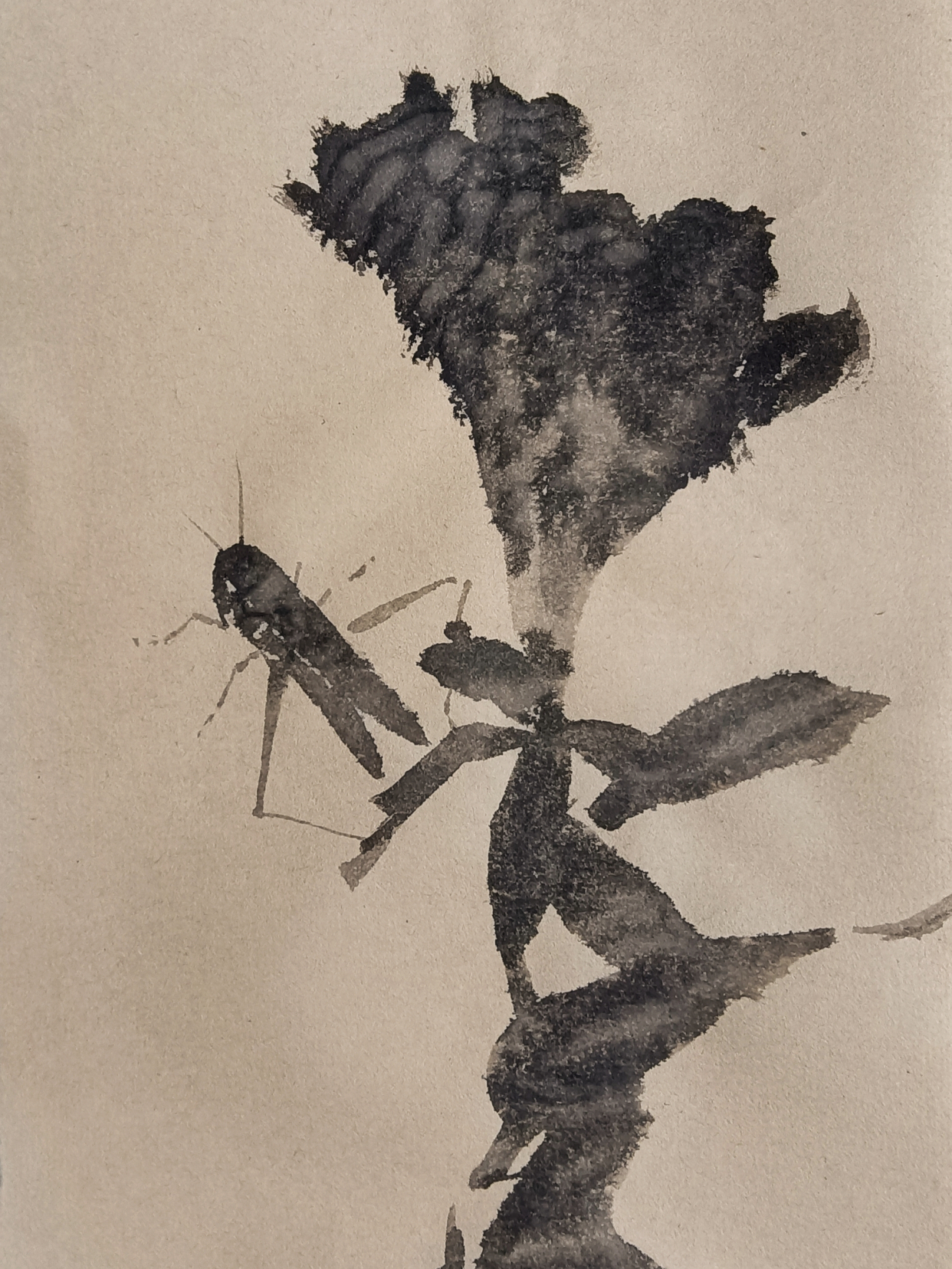 郁之国画鸡冠花和蚂蚱