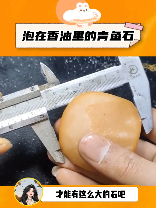 要泡在香油里的青鱼石,这么大真的好难得!