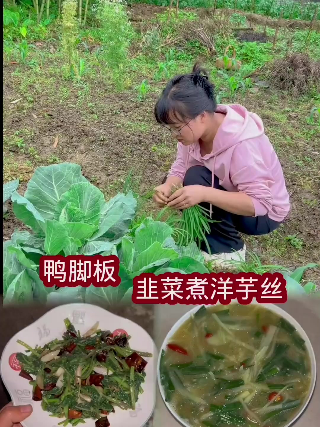 第一次吃野菜鸭脚板,味道出乎了我的意料