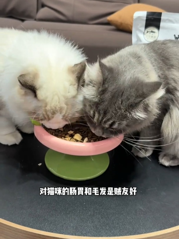 这个猫粮有91%动物性原料,还添加了鸡肉鸡肝蛋黄三种冻干