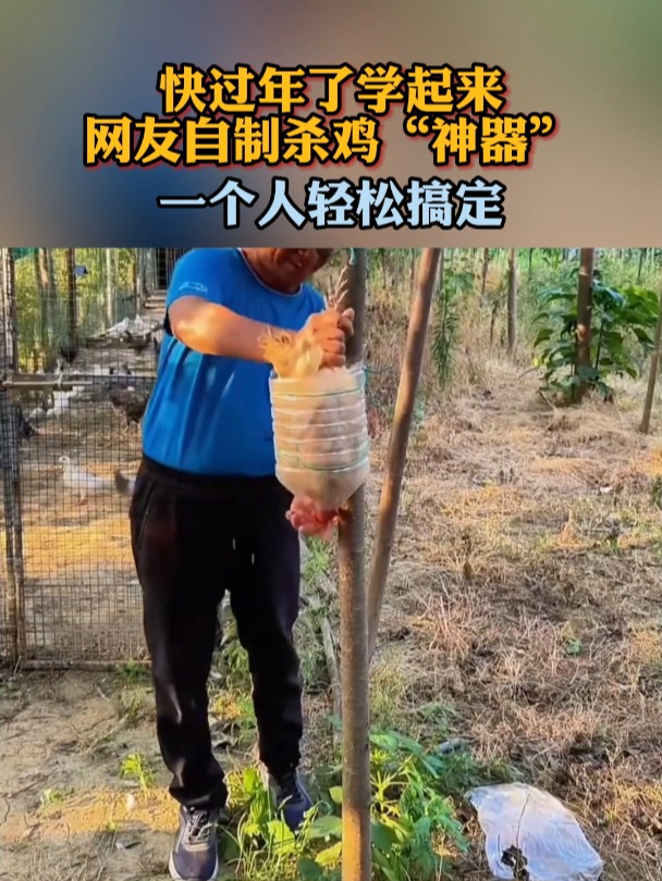 快过年了学起来网友自制杀鸡“神器”