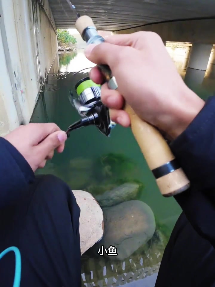 野外钓鱼