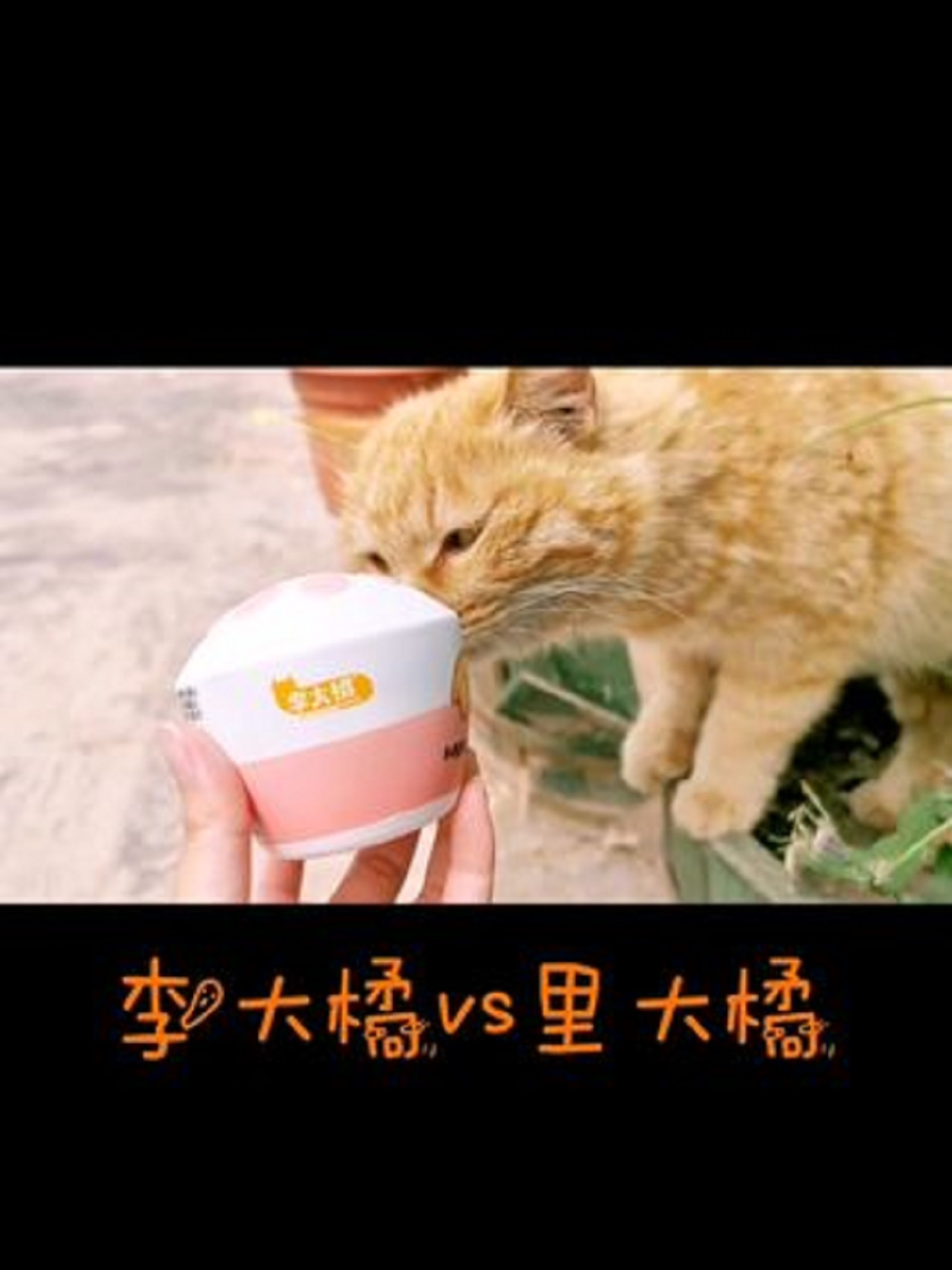 这个冰激凌太可爱啦,和leo的小爪爪简直一模一样耶