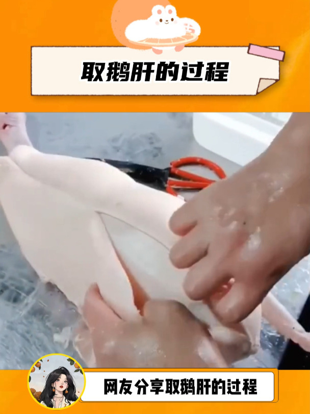 原来鹅肝有这么大,为什么还这么贵呀!