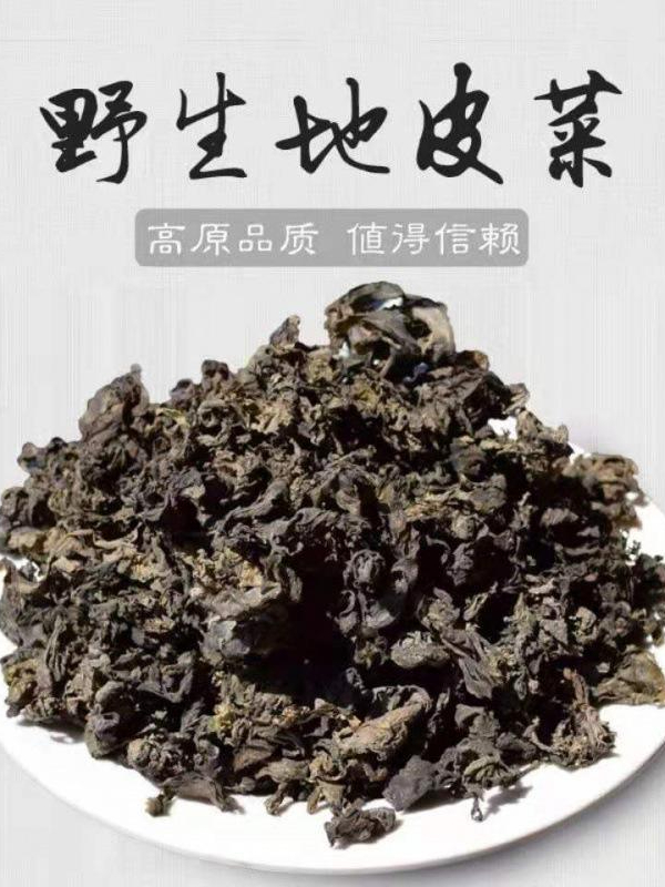 地皮菜:这真的是长在地上的“菜”吗?