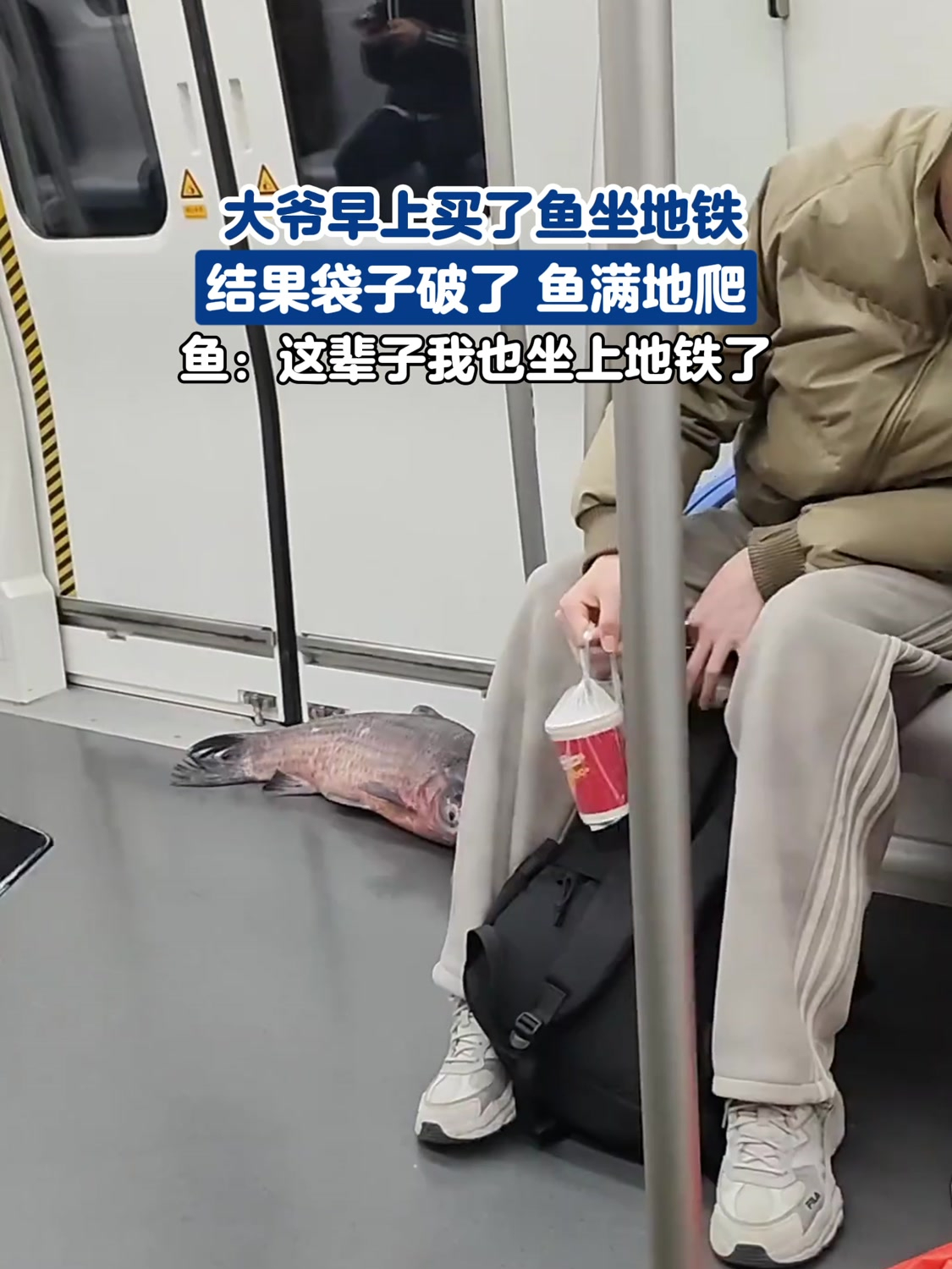 大爷早上买了鱼坐地铁,结果袋子破了 鱼满地爬