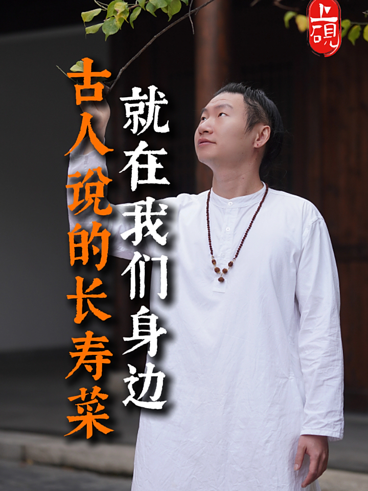 古人说的长寿菜 就在我们身边