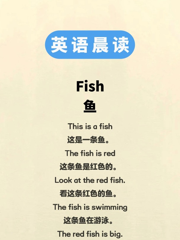 少儿小学英语,每日听读|鱼|多听多练是关键!