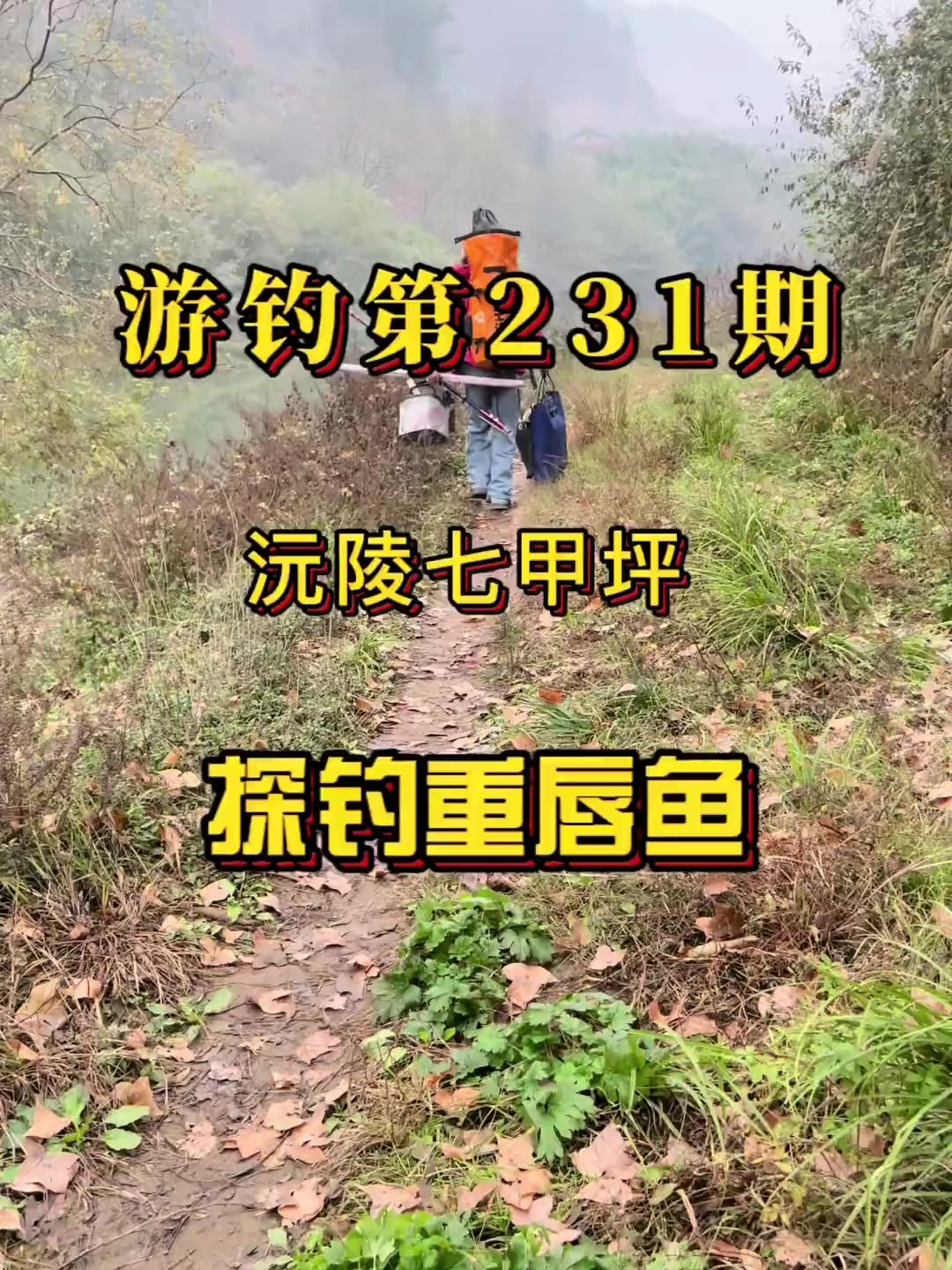 游钓231期沅陵探钓重唇鱼