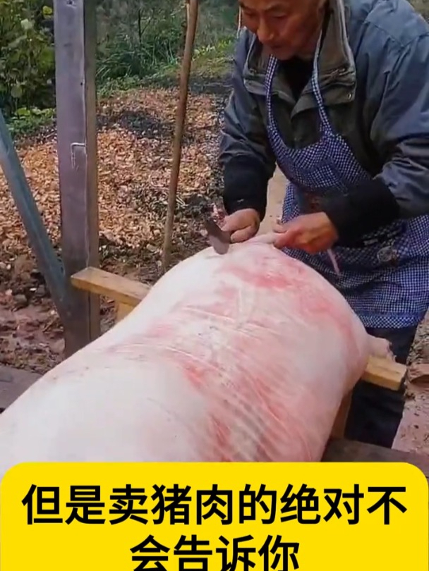 卖猪肉的绝对不会告诉你的秘密