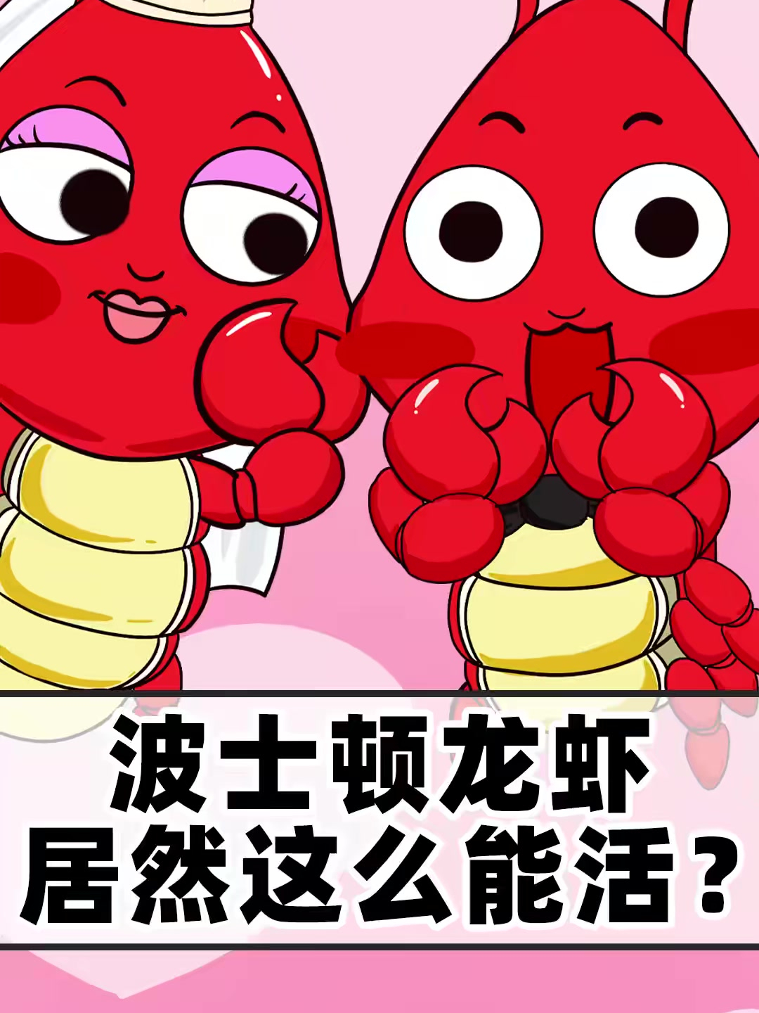 震惊住!波士顿龙虾的长寿秘诀竟然是……