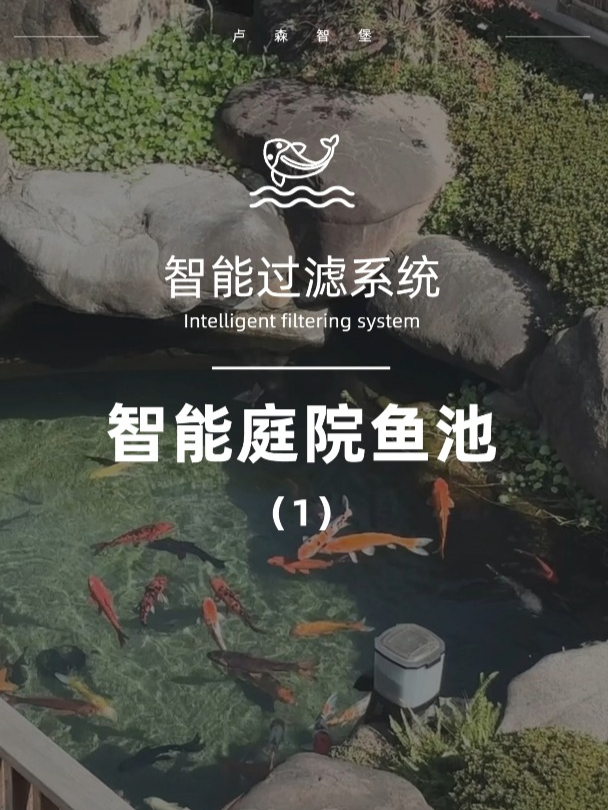 锦鲤鱼池过滤挑选秘籍丨这样选不出错