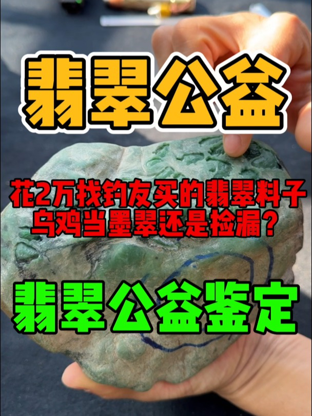 花2万找钓友买的翡翠料子,乌鸡当墨翠还是捡漏?