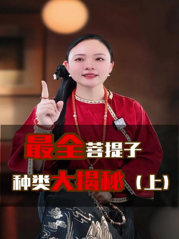 全网最全菩提子种类(上)大揭秘各种菩提子是什么植物的种子