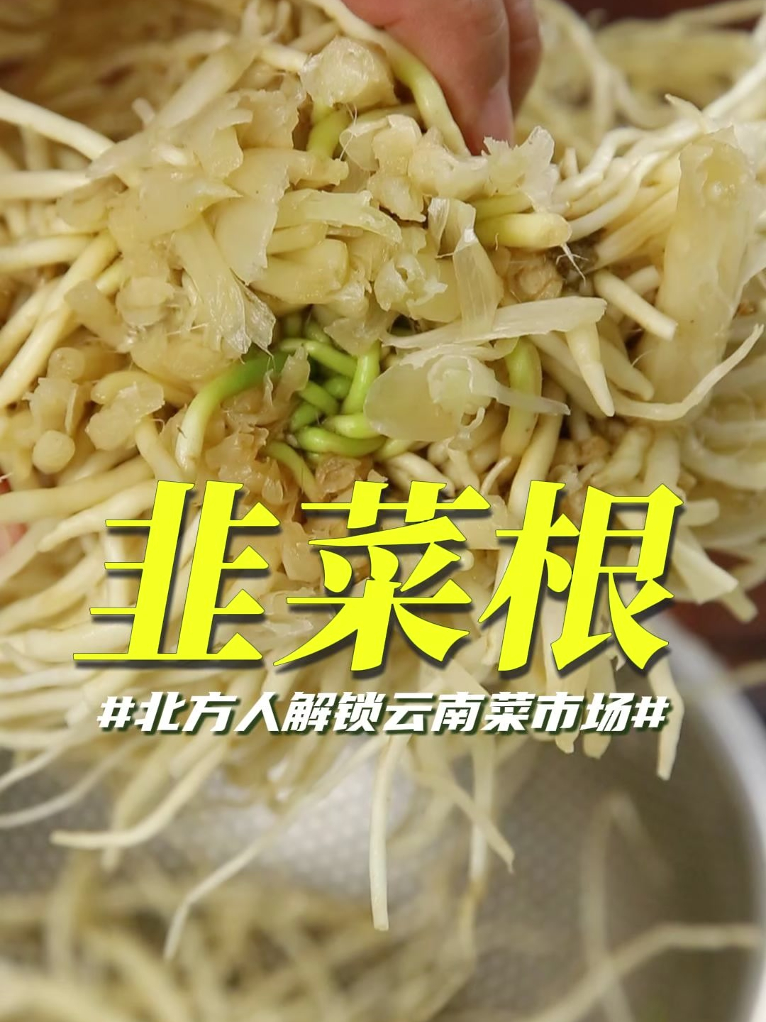 北方人长见识了!云南菜市场里的“韭菜根”,炖肉简直一绝……