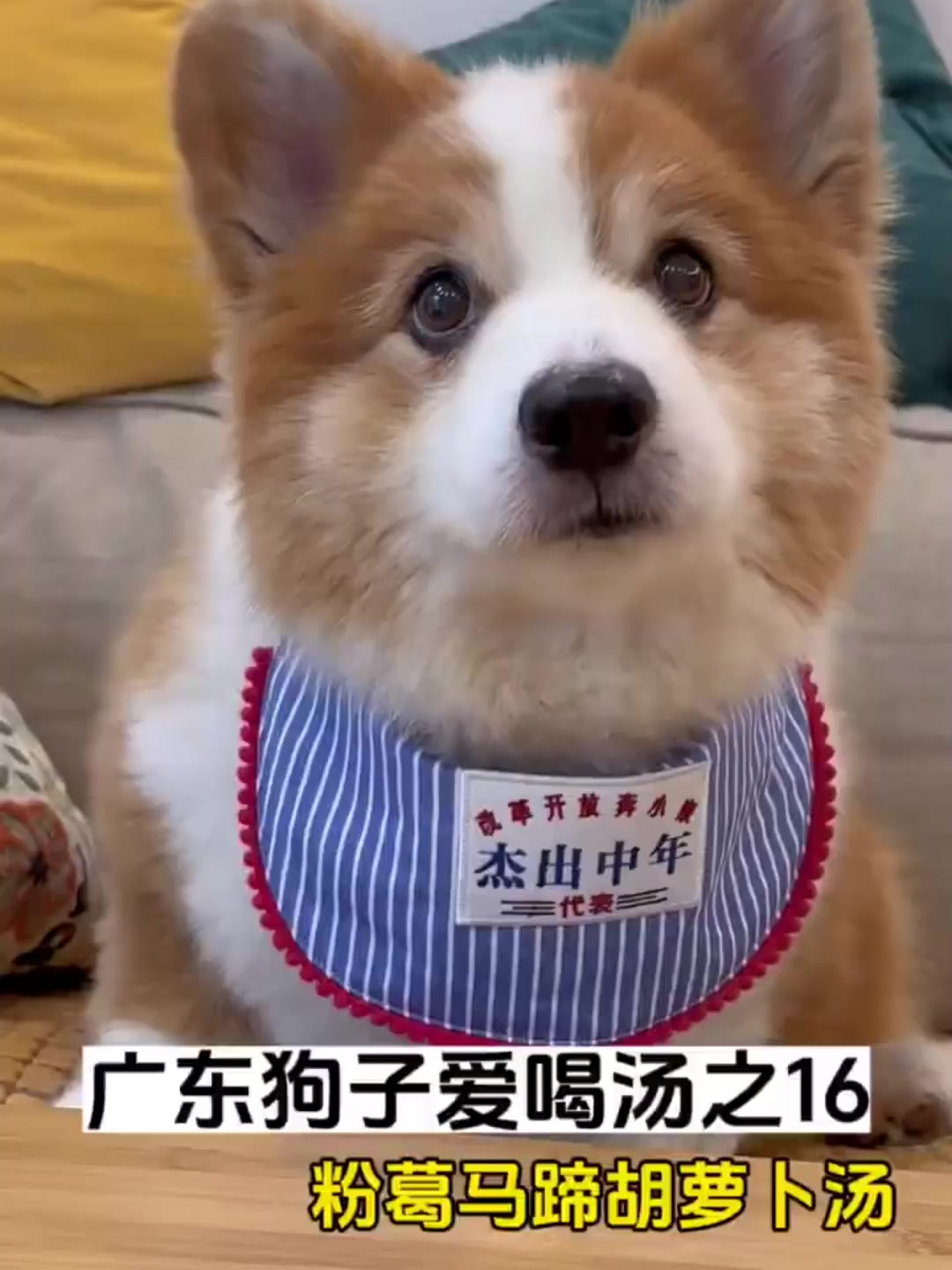 广东狗子爱喝汤之粉葛马蹄胡萝卜汤