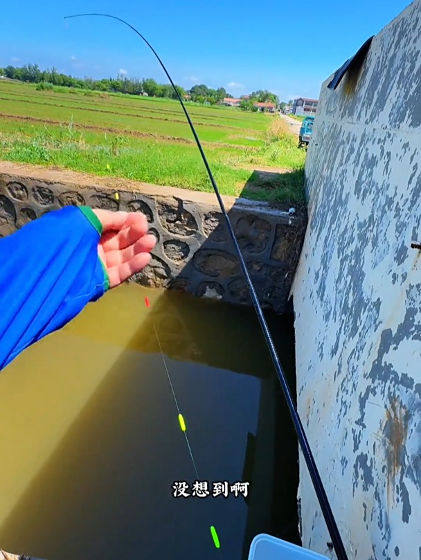 探钓稻田臭水沟惊喜连连,鱼的乐趣只有钓鱼人懂,户外垂钓