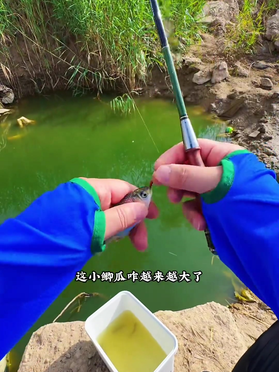 终究还是来晚了可惜这两条大鲶鱼大黑鱼,钓鱼的乐趣只有钓鱼人懂